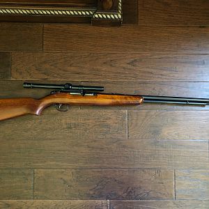 Remington 550 Rifle in .22