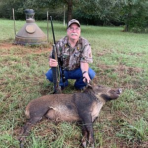 Texas USA Hunting Hog