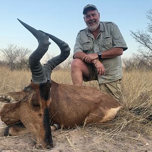 South Africa Hunting Red Hartebeest