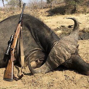 Hunting Buffalo in Zimbabwe