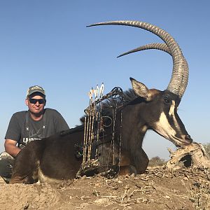 Sable Antelope Bow Hunt South Africa