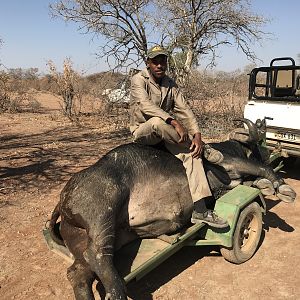 Bow Hunt Cape Buffalo in South Africa