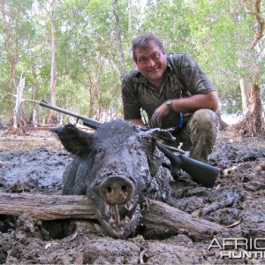 A 105kg Wild Boar from outback Australia died wallowing in his mud bath