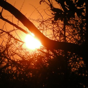 sunset in zambesi valley