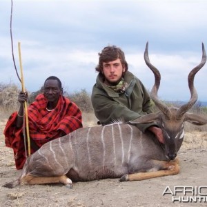 Lesser Kudu