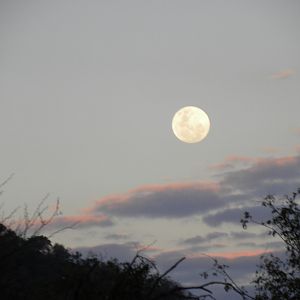 South African Moonrise