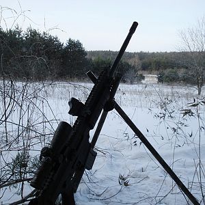 Sub-Zero Coyote Hunt, Southern Ontario