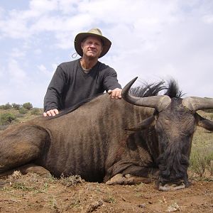 Wildebeest hunt South Africa