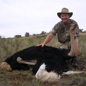 Ostrich hunt South Africa