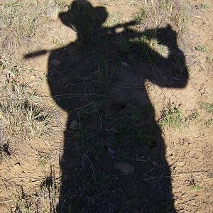 South Africa shadow