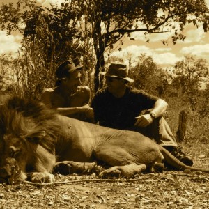 Hunting Lion in Tanzania