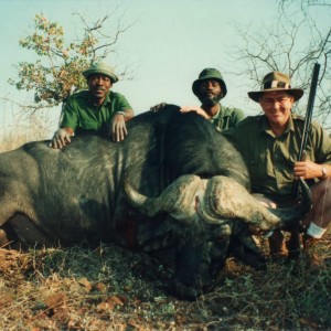 Buffalo hunt Zimbabwe