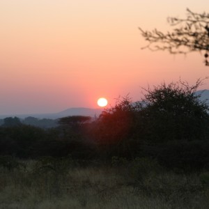 African Sunset