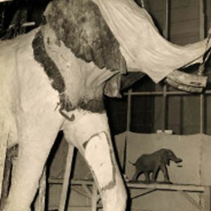 The Biggest Elephant Ever Killed By Man