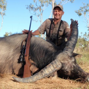 Asiatic buffalo bull, Arnhemland, Australia