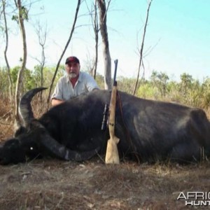 Asiatic buffalo bull, Arnhemland, Australia