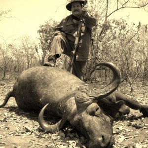 Buffalo shot two days ago in Zimbabwe
