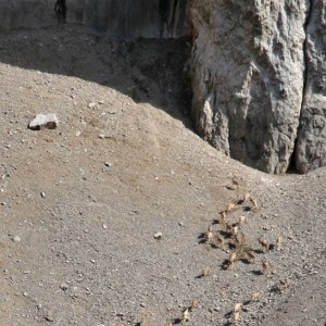 Hunting in Kyrgyzstan