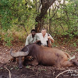 Bela Hidvegi with Dwarf Buffalo hunted in CAR