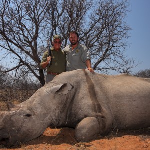 White Rhino hunted on the Waterberg Plateau in Namibia