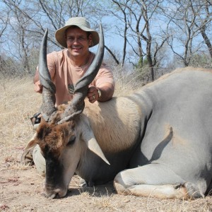 Eland hunted in Zimbabwe