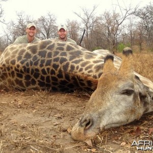 Giraffe hunted in Zimbabwe