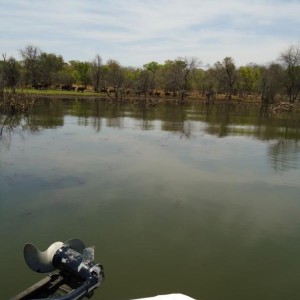 Fishing in Zimbabwe