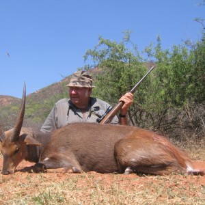 Ted's Bushbuck