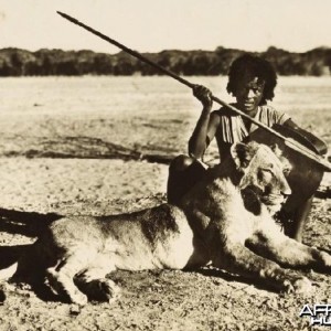 Eritrean warrior with speared young male Lion circa 1935