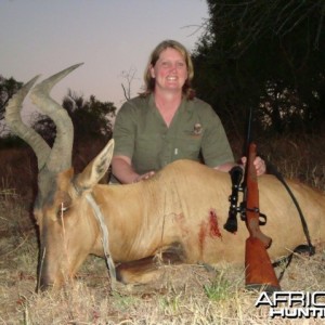 Hartebeest hunted in South Africa