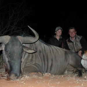 Blue Wildebeest hunted with Hartzview Hunting Safaris