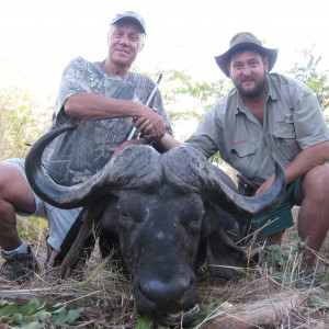 Buffalo hunted in Zimbabwe with Steyn Caracal Safaris