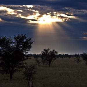 Cheetau Safaris South Africa