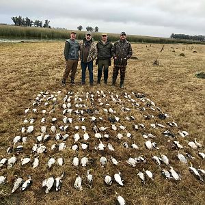 Duck hunt - Argentina - MG Hunting