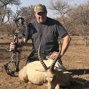 White Blesbok Bow Hunt South Africa