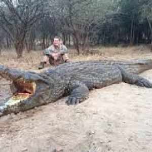 16ft Crocodile