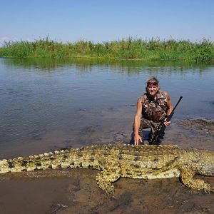 15ft Crocodile