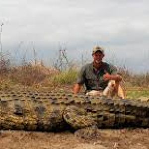 14,5ft Crocodile