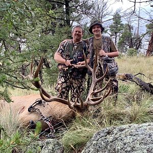 Bow Hunt Elk in New Mexico USA