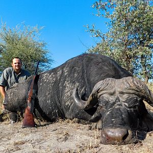 Buffalo Hunting Namibia