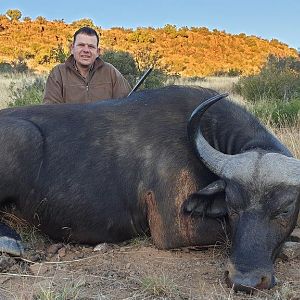 Hunting Buffalo Cow in South Africa