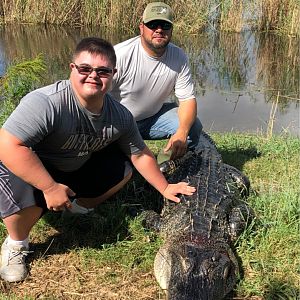 Hunt Alligator in Little Texas USA