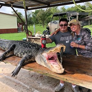 Alligator Hunt Little Texas
