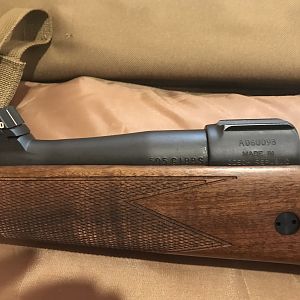 CZ 550 in 505 Gibbs Rifle