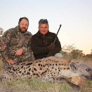 Hunt Spotted Hyena in Namibia