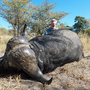 Hunting Buffalo in Namibia