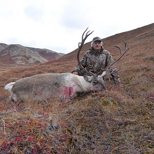 Greenland Hunting Caribou
