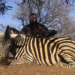 South Africa Bow Hunt Burchell's Plain Zebra