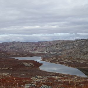 Greenland Hunt Caribou