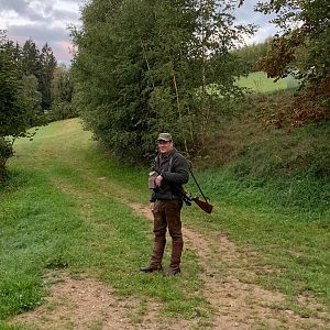 Fallow, Roe & Wild Boar Hunt in Austria